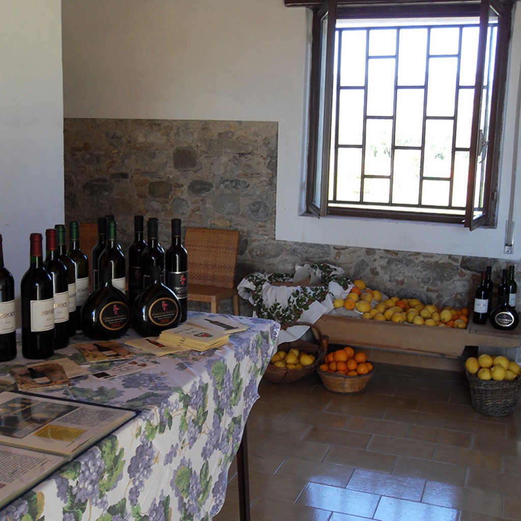 Azienda Agricola Baccellieri