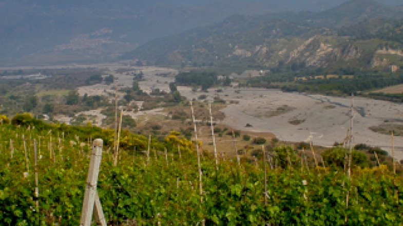 Azienda agricola Ceratti Pasquale