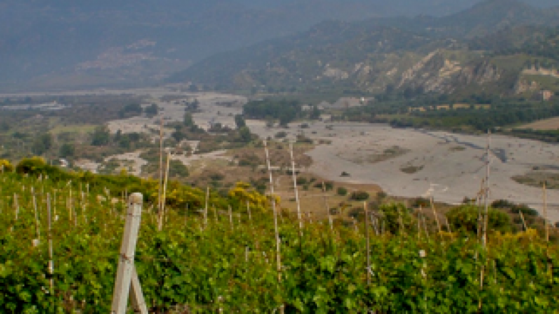  Azienda agricola Ceratti Pasquale