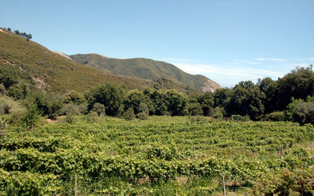  Azienda vinicola Malaspina