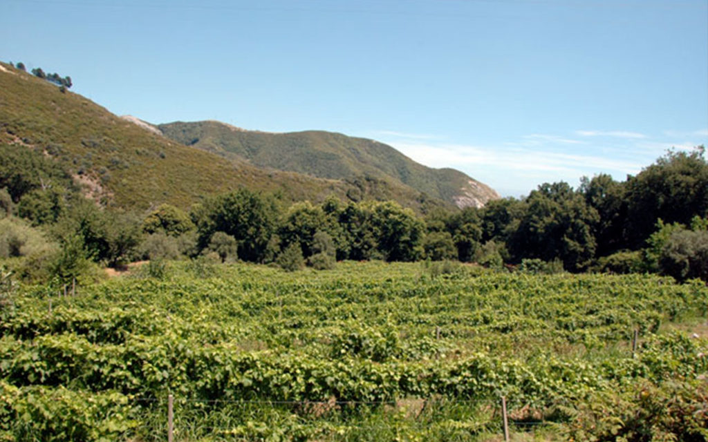 Azienda vinicola Malaspina