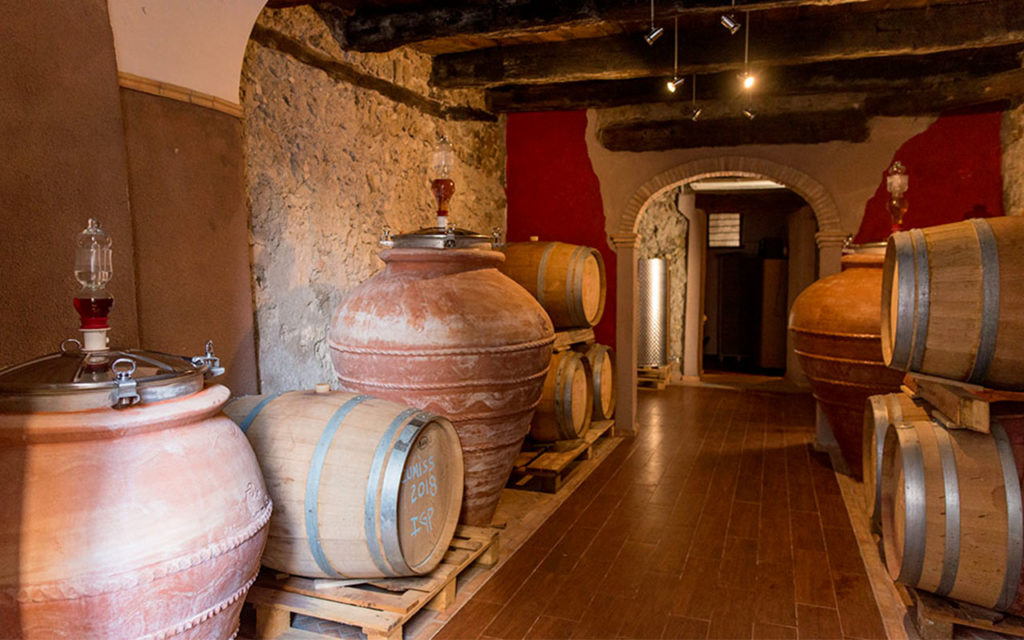 Azienda Agricola Vittoria Maradei